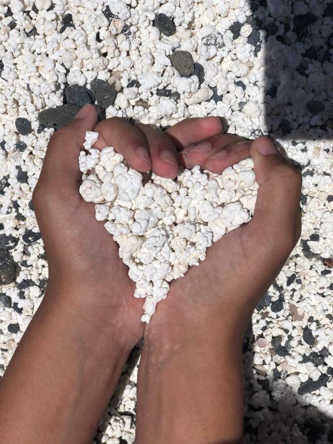 Paulalucia Διαμέρισμα Costa De Antigua Εξωτερικό φωτογραφία